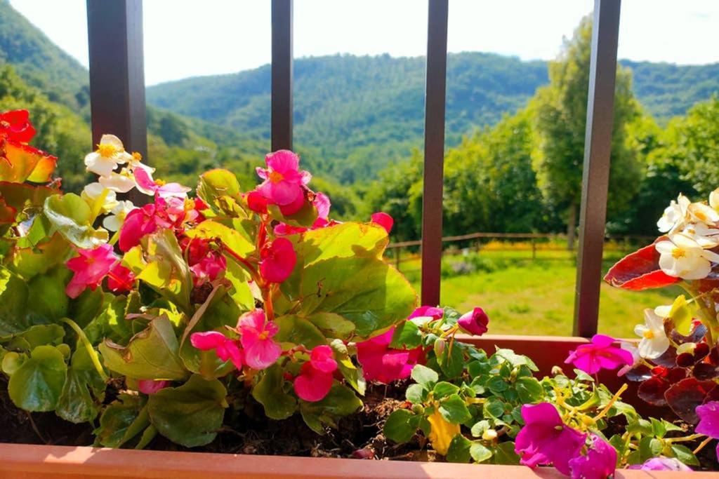 Villa Con Piscina 10 Posti Letto, L'Oliveta Di Rivalto Кьянни Экстерьер фото