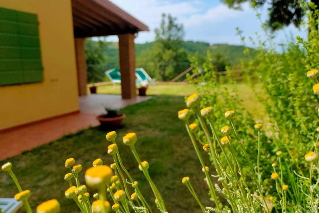 Villa Con Piscina 10 Posti Letto, L'Oliveta Di Rivalto Кьянни Экстерьер фото