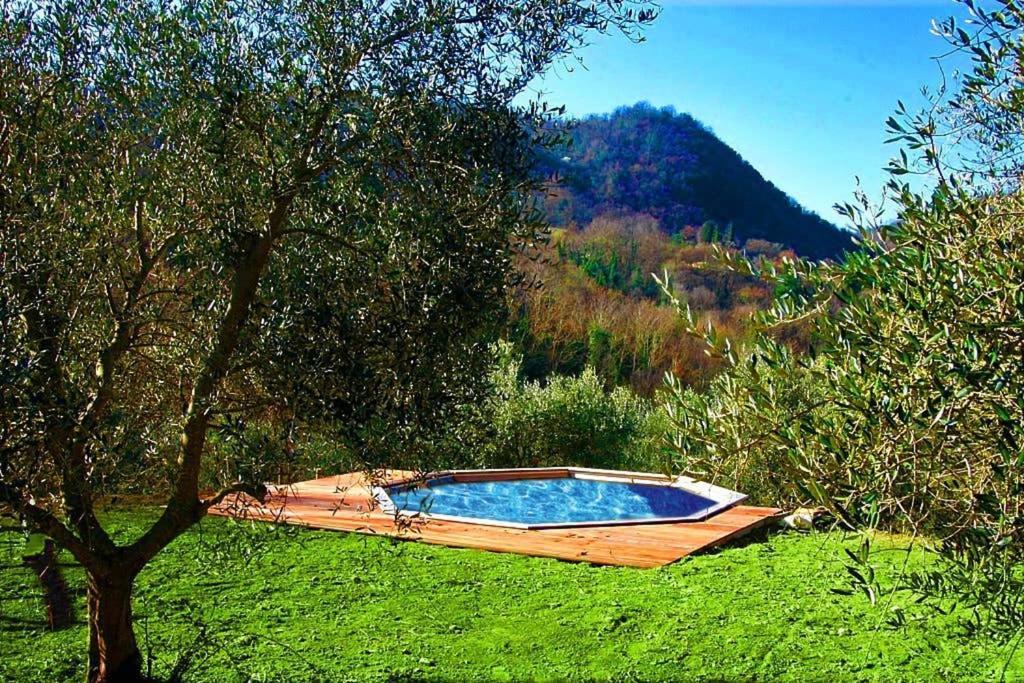 Villa Con Piscina 10 Posti Letto, L'Oliveta Di Rivalto Кьянни Экстерьер фото