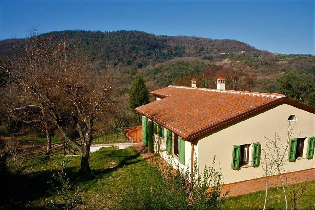 Villa Con Piscina 10 Posti Letto, L'Oliveta Di Rivalto Кьянни Экстерьер фото