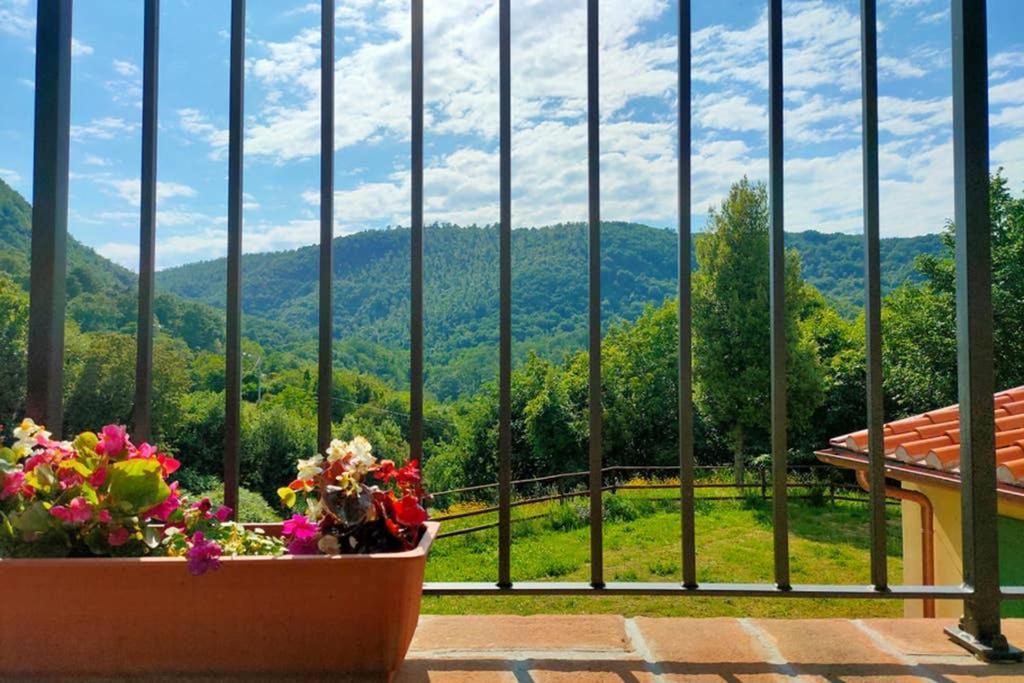 Villa Con Piscina 10 Posti Letto, L'Oliveta Di Rivalto Кьянни Экстерьер фото